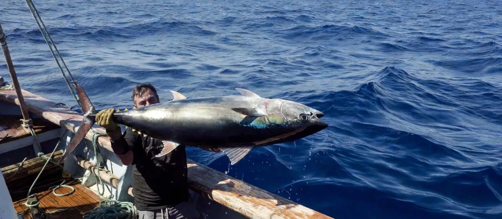 a25105e8 aabc 4b84 bd97 3d1966d8443f